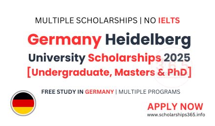 Heidelberg University Scholarships 2025 for BS, MS & Ph.D.