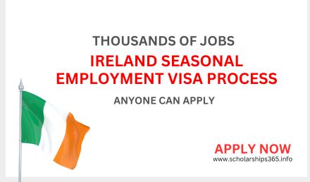 Ireland Seasonal Employment Visa Process 2024 Process