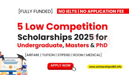 5 Low Competition Scholarships Undergraduate, Masters, & PhD