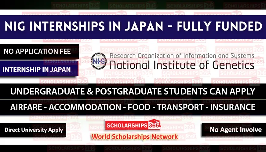 NIG Japan Summer Internship in Japan 2022 - Fully Funded Internship