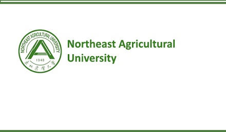 Northeast Agricultural University CSC Scholarship 2021