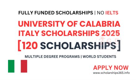 University of Calabria Italy Scholarship 2025 | Fully Funded