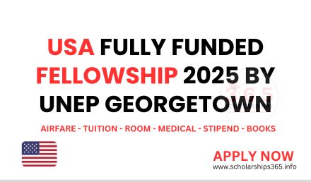 USA Fully Funded Fellowship 2025 UNEP Georgetown Fellowship