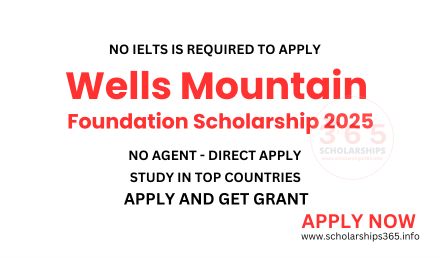 Wells Mountain Foundation Scholarship Program 2025-2026