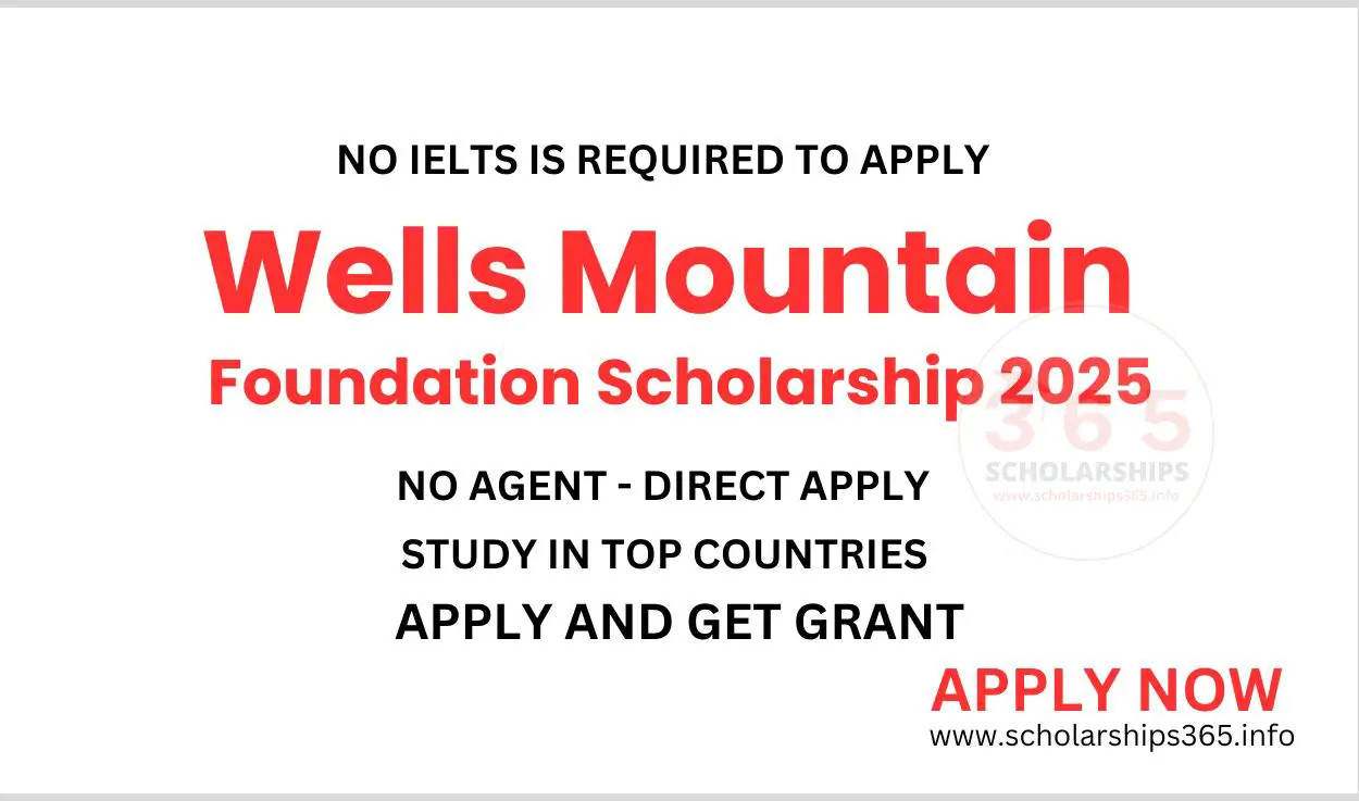 Wells Mountain Foundation Scholarship 2025-2026 for World Students