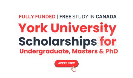 York University Canada Scholarships 2025 | Fully Funded