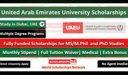 United Arab Emirates University Scholarship 2022 - Fully Funded Scholarship