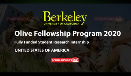 UC Berkeley Olive Fellowship Program 2020 in USA - Fully Funded