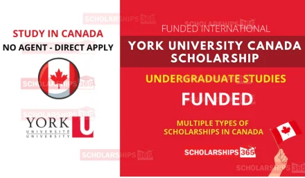 York University Canada Scholarship 2022 | Study in Canada