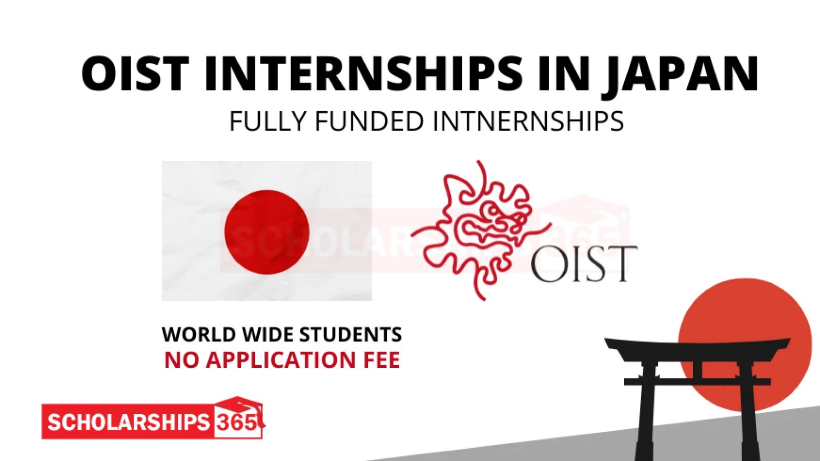 OIST Internship 2024 in Japan | Fully Funded | Paid Japan Internships
