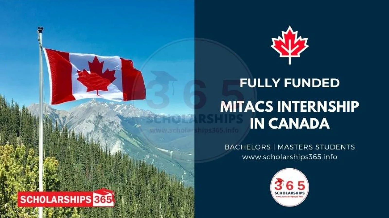 Mitacs Internship in Canada 2024 | Fully Funded | Globalink Research Internship