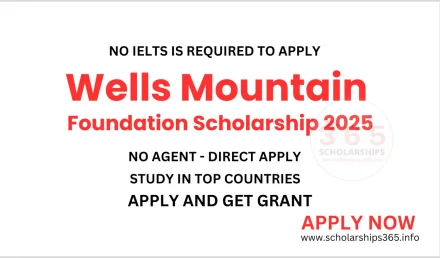 Wells Mountain Foundation Scholarship 2025-2026 for World Students