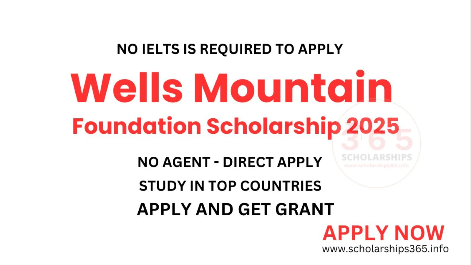 Wells Mountain Foundation Scholarship 2025-2026 for World Students