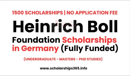 Heinrich Boll Foundation Scholarships 2026 (Fully Funded)