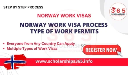 Norway Work Visa Process 2025 - Types of Work Permits