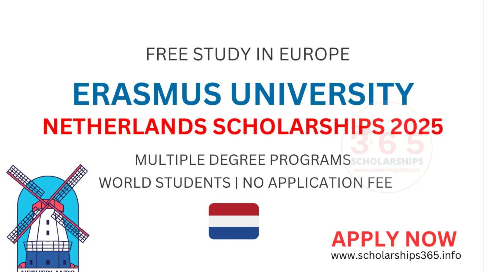 Erasmus University Netherlands Scholarship 2025 | [Free Study in Europe]