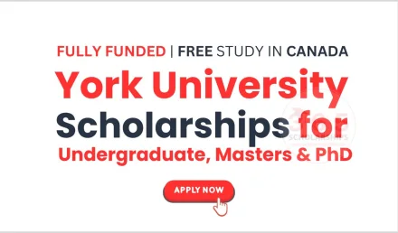 York University Scholarships in Canada 2026 [Undergraduate, Masters, PhD]