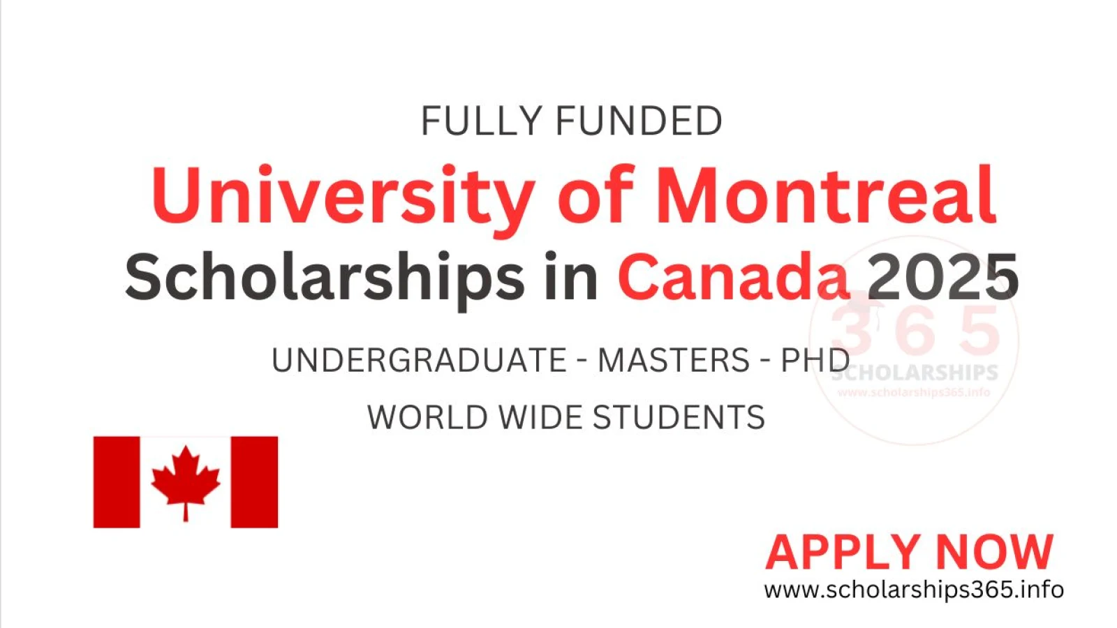 University of Montreal Scholarships in Canada 2025-2026 | [Fully Funded Scholarships]