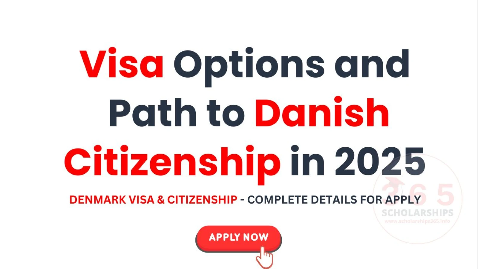 Visa Options and Path to Danish Citizenship in 2025